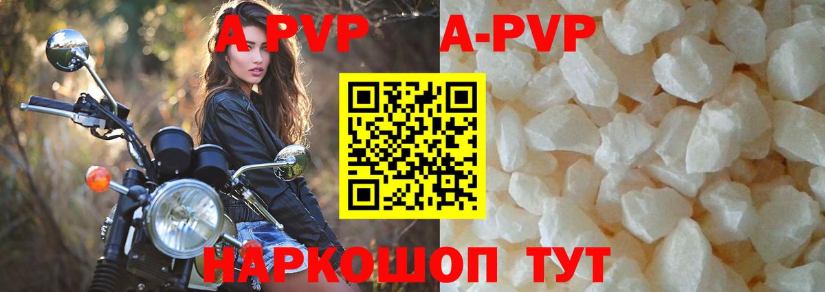 Alfa_PVP СК КРИС Махачкала