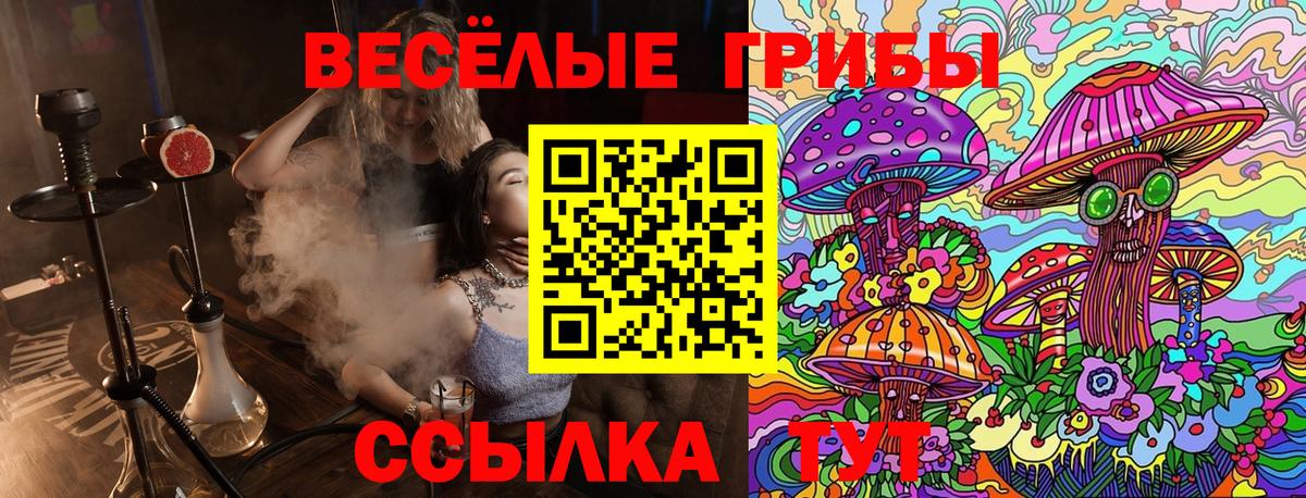 Псилоцибиновые грибы мухоморы Махачкала