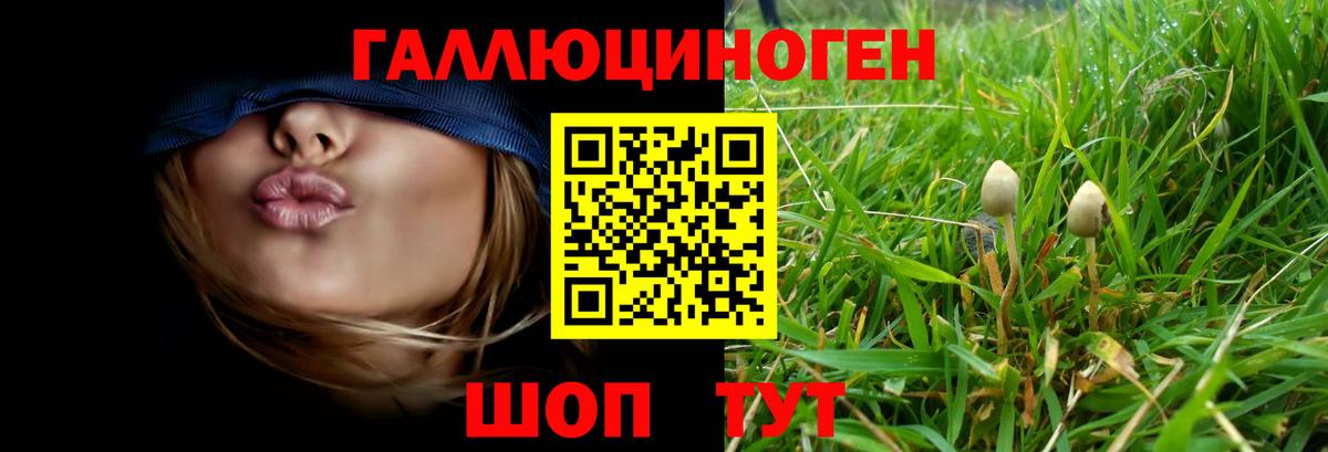 Махачкала  Псилоцибиновые грибы MAGIC MUSHROOMS  Вход с VPN 